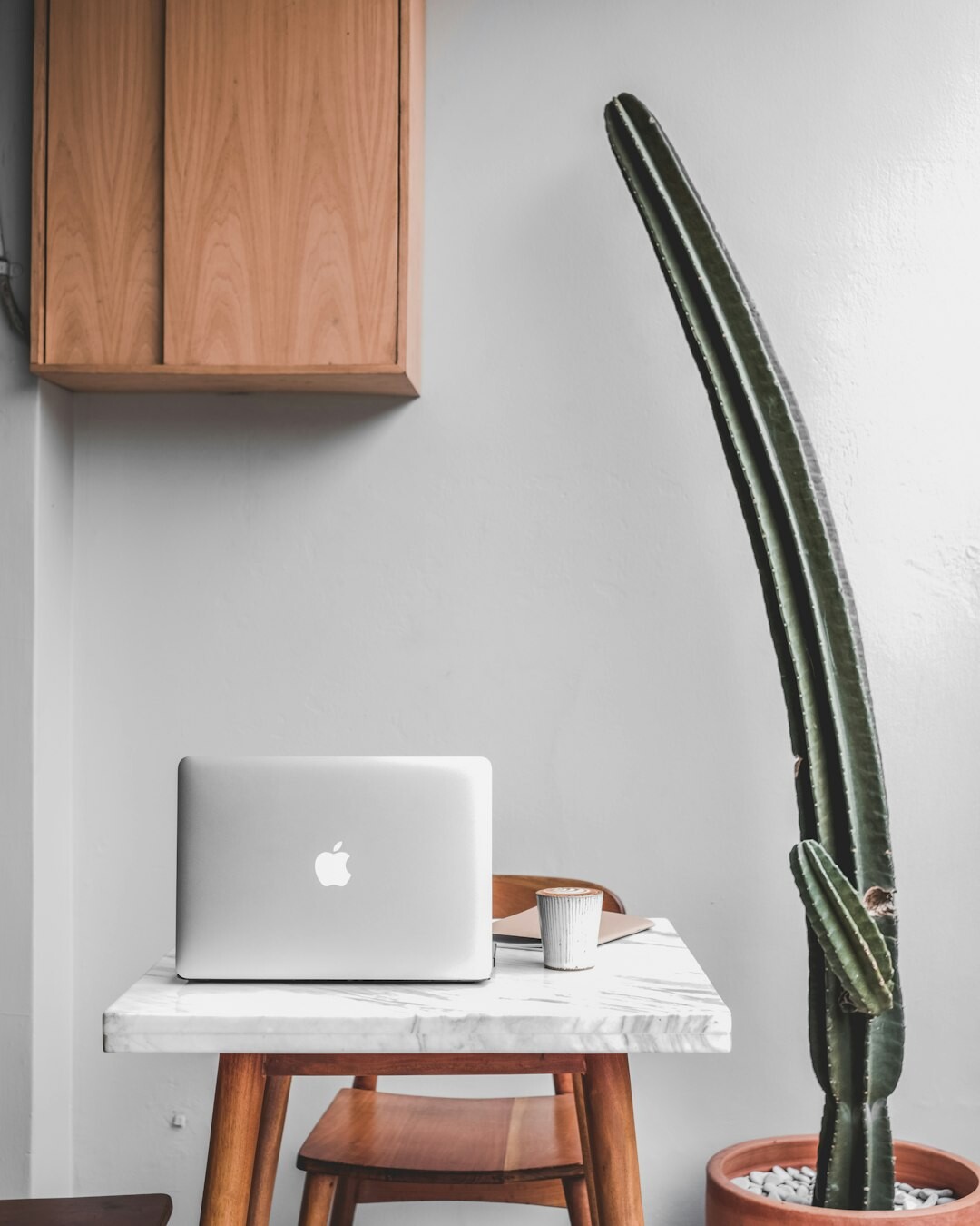 Minimalist standing desk setup with notebook and plant